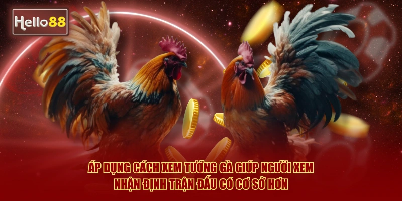 Áp dụng cách xem tướng gà giúp người xem nhận định trận đấu có cơ sở hơn