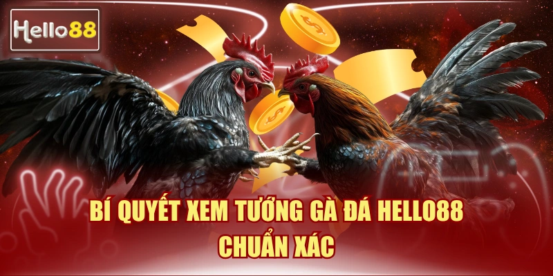 cách xem tướng gà đá Hello88 luôn thắng