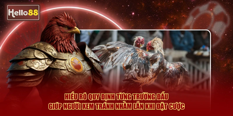 Hiểu rõ quy định từng trường đấu giúp người xem tránh nhầm lẫn khi đặt cược