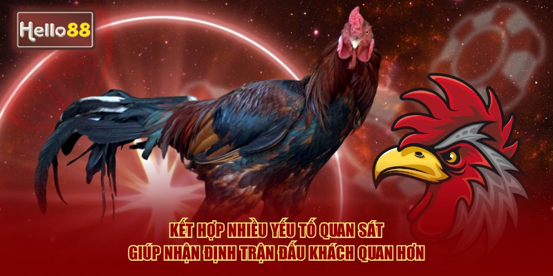 Kết hợp nhiều yếu tố quan sát giúp nhận định trận đấu khách quan hơn