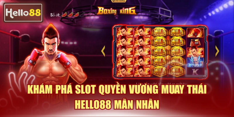 Quyền vương Muay Thái Hello88