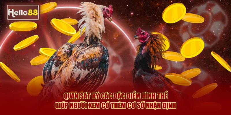 Quan sát kỹ các đặc điểm hình thể giúp người xem có thêm cơ sở nhận định