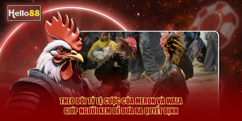 Theo dõi tỷ lệ cược của Meron và Wala giúp người xem dễ đưa ra quyết định